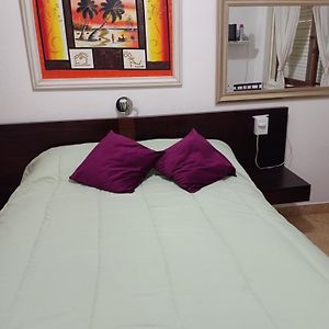 Apartamento de 1 Dormitorio
